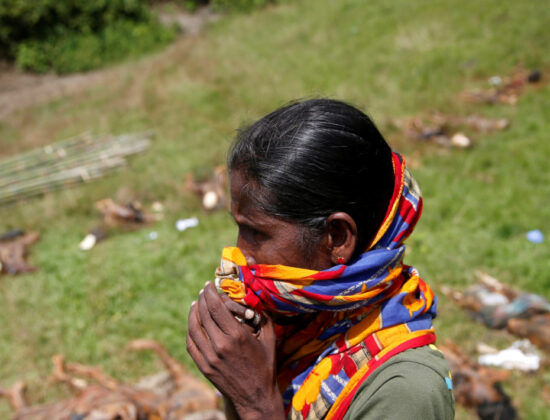 Hindu genocide by the Rohingya Muslims [Rakhine, Burma]